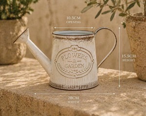 Regadera de metal galvanizado, maceta decorativa para jardín de hadas, mejora el atractivo visual del jardín, de la India. - Product Image 4