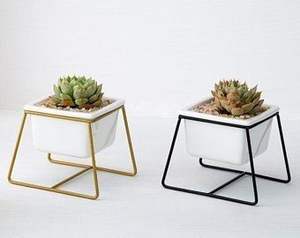 Support de plantes en métal pour intérieur et extérieur, étagère porte-pot de fleurs robuste pour plantes en pot - Product Image 2