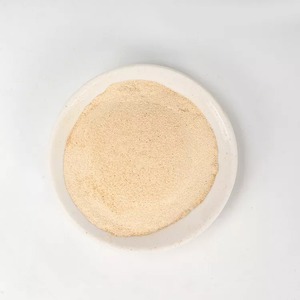 Additif alimentaire pour volailles : Farine de gluten de riz, Farine de protéines de riz - Product Image 1