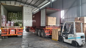 El sabor natural de Guanábana seca suave fresca y natural para la venta al por mayor garantiza la seguridad alimentaria 100% - Product Image 6