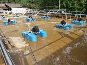 Sistema de Aireación de Aguas Residuales con Motor 440V/380V, Productividad de 500L/Hora, 1 Año de Garantía - Product Image 3