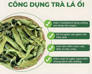 Té de Hoja de Guayaba Premium, Secado al Sol, Empaque con Cierre, Venta al Por Mayor, Calidad de Exportación, Fabricante Vietnamita, Empaque Personalizado - Product Image 6