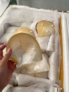 จานเปลือกหอยมุกขัดเงา ถาดเปลือกหอยธรรมชาติ จานใส่ไข่ปลาคาเวียร์ งานฝีมือทำมือ ของขวัญสุดหรู ขายส่ง ส่งออก - Product Image 3