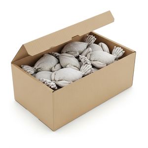 ขาคางคกแช่แข็งพรีเมียม บรรจุใหม่สดใหม่ ขายขาคางคกแช่แข็งคุณภาพสูง อร่อยและเนื้อนุ่ม สำหรับผู้ซื้อจำนวนมาก - Product Image 4