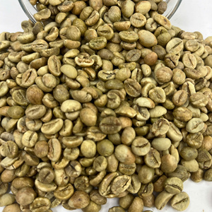 Grains de café Robusta : Source fiable pour le commerce de gros B2B, idéal pour l'exportation mondiale aux torréfacteurs - Product Image 1