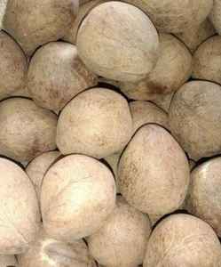 Cáscaras de coco naturales de primera calidad, respetuosas con el medio ambiente, pulidas y listas para beber, soporte OEM/ODM disponible - Product Image 4