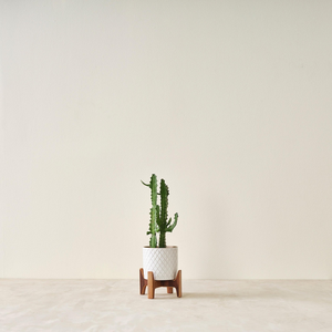 Handmade Wooden <b>Plant</b> Stand with Woven Basket Planter for Indoor <b>Plants</b> Living Room and Home Decoration - Product Image 6