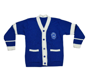 Fabricant en gros de cardigans à col en V personnalisés avec logo bleu pour femmes, manches longues, 100% acrylique, pulls de sororité et de fraternité - Product Image 1