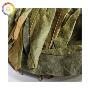 Hojas de guanábana secas cuidadosamente seleccionadas para té de hierbas, extractos botánicos y productos naturales - Product Image 5