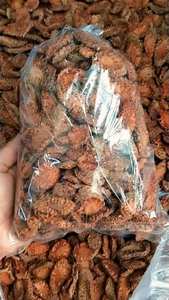 Tranches de fleurs de palmier Toddy séchées de qualité supérieure, tranches de spathes de palmier Palmyra mâle séchées, tranches de Borassus Flabellifer, prix compétitif - Product Image 5