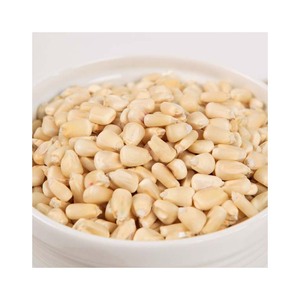 Maïs blanc de haute qualité adapté aux achats en gros et aux fournitures pour la transformation alimentaire - Product Image 3