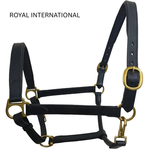 Cabestro Ajustable para Caballo de Cuero Genuino Premium Royal International con Latón Sólido |   Herrajes Resistentes para Establos Ecuestres - Product Image 1