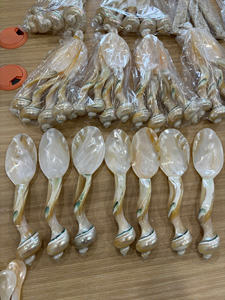 Cuillère en coquillage naturel, fabriquée à la main avec finition polie, pour la présentation de vaisselle, les coffrets cadeaux et les acheteurs en gros - Product Image 5