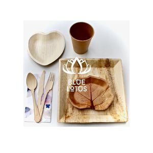 [MEILLEURE VENTE] Assiette carrée biodégradable en feuille de palmier, plat de service écologique pour fêtes, traiteur, buffet, présentation sur table, Vietnam - Product Image 1