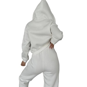 Venta al por mayor Solid Workout Training Hoodie Zip up casual,streetwear,Drop Shoulder, figuras, transpirable, ecológico, sudaderas con capucha, de punto - Product Image 2