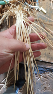 เปลือกหวายขาวฟอก 5-7 มม. แถบหวายเงาสำหรับซ่อมแซมเฟอร์นิเจอร์ วัสดุสานหวาย หวายแหวกสำหรับทำเก้าอี้ - Product Image 2