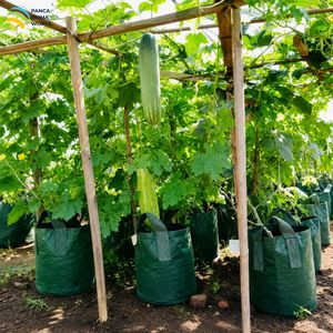 Sac de culture en HDPE de haute qualité 100L vert avec 4 poignées, résistant aux UV, pot de jardin robuste - Product Image 6