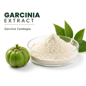 Extracto de Garcinia Cambogia en Polvo, Extracto de Planta, Polvo Fino Blanco para Suplementos Dietéticos y Fórmulas Herbales - Product Image 1