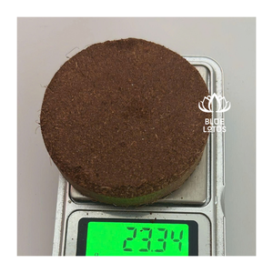 Coco Peat Brick Cheap Wholesale Price Compressed Big Volume Coconut <b>Coir</b> Premium Factory Bulk Supply Food 2026 - Product Image 1