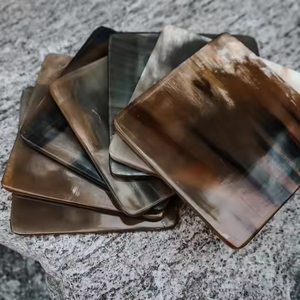 Elegantes Posavasos de Cuerno Hechos a Mano para Uso Diario, Posavasos Rústicos de Cuerno de Búfalo para Decoración del Hogar, Posavasos de Cuerno Natural con Acabado Liso - Product Image 2
