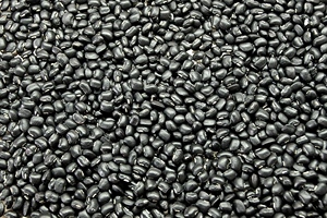 Venta directa de fábrica al por mayor a precio competitivo de frijoles negros, suministrados para importadores y proveedores globales de alimentos en Austria. - Product Image 2