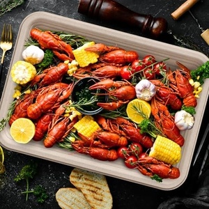 Barquette en fibre de canne à sucre 10x6 pouces, emballage alimentaire biodégradable pour volailles, poissons et supermarchés, pour viande et fruits de mer frais - Product Image 1