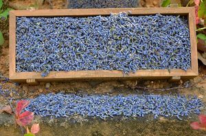 MEJOR PRECIO Blue Lotus 2025 Brotes de lavanda secos Fragancia natural para un sueño relajante y aromaterapia en el hogar - Product Image 3
