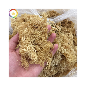 Algues marines séchées en vrac Cottonii et Eucheuma pour la production de carraghénane, fournisseur d'algues marines brutes de qualité alimentaire - Product Image 1