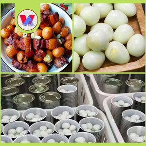 Huevos de Codorniz Enlatados al Vacío de Alta Calidad, Ecológicos, en Salmuera, Pelados, Listos para Comer, Ideales para Hotpot Asiático y Carnes Estofadas - Product Image 6
