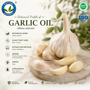 Huile Essentielle Pure d'Ail Naturel (Allium Sativum) pour Cosmétiques et Aromathérapie - Vente en Gros B2B avec Options de Marque Privée - Product Image 3