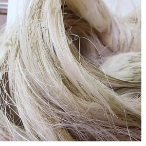 Fibre de sisal naturelle à fibres longues, idéale pour la fabrication de cordes, brosses, rembourrages et matériaux artisanaux, exportation en vrac aujourd'hui. - Product Image 6