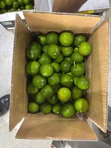 Citron/lime frais sans pépins, qualité supérieure, grade 1 : fruits de grande taille, brillants, peau fine, beaucoup de jus / Mme Lima - Product Image 3