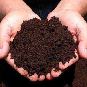 Poudre de fumier de vache biologique de qualité supérieure, engrais naturel à 99 % pour l'agriculture, le jardinage et le compost, durée de conservation de 24 mois - Product Image 1