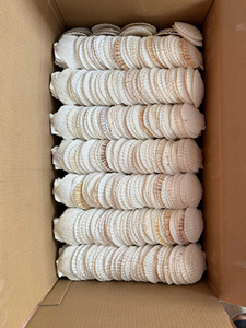 Conchas de Vieira Decorativas para Bordear Jardines y Espacios Exteriores - Product Image 3
