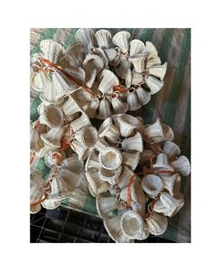 Decoraciones Navideñas de Ratán, Adornos Tejidos Naturales para Decoración del Hogar en Días Festivos y Exportación al por Mayor - Product Image 3