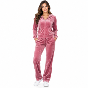 Conjunto Deportivo de Terciopelo Rosa para Mujer, con Capucha, Corte Holgado, Casual, para Todas las Temporadas, 2 Piezas, Manga Larga, Pantalones Deportivos de Velour - Product Image 1