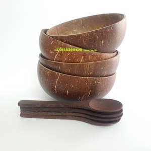 Venta al por mayor de cuenco de cáscara de coco natural hecho a mano/cuenco de coco helado - Product Image 3