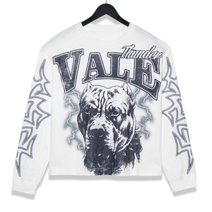 Camiseta Personalizada DTG con Hombros Caídos, Camiseta Térmica de Manga Larga de Algodón para Hombre, Camiseta Holgada con Estampado Gráfico - Product Image 1