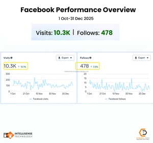 Servicios de Integración de Programas de Fidelización y Lista de Deseos, Configuración y Capacitación de Paneles de Análisis de Comercio Electrónico - Product Image 4