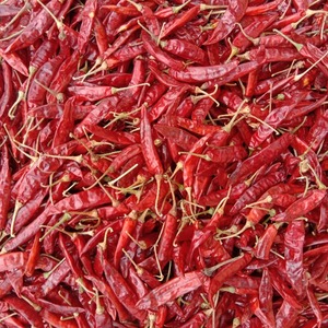 Premium Grade 334 S4 <b>S10</b> Sannam Guntur Dry Red Chilli Whole Medium Heat Natural Elongated Spice 24 Months Shelf Life for Cooking - Product Image 1