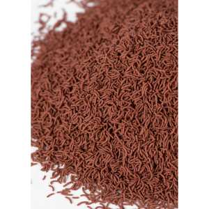 Alimento húmedo de 50g con alto contenido proteico para peces de agua dulce pequeños: harina de lombriz roja, harina de krill y astaxantina para la salud digestiva. - Product Image 2