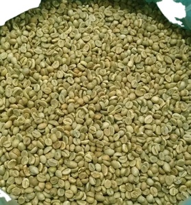 High Quality PHALCO Robusta Green Coffee <b>Beans</b> Grade 1 Screen 16/18 Vietnam Best Price Ready for Export in Jute <b>Bag</b> Packaging - Product Image 1
