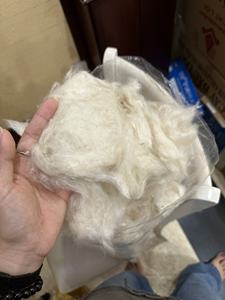 ใยนุ่นธรรมชาติสำหรับรังนกและหมอนทำจากใยนุ่นแห้งทั้งตัว - Product Image 2