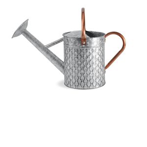 Regadera de metal estilo vintage de gran capacidad con mango cómodo para regar flores y plantas en balcones y terrazas. - Product Image 6