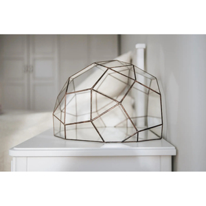 Terrario de Acero Inoxidable Sostenible con Marco Metálico y Vidrio, Forma Única, Acabado Dorado, Decoración para Plantas de Interior - Product Image 6