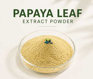 Suministro Directo de Fábrica HGO de Extracto Puro y Natural de Hoja de Papaya en Polvo (Grado Alimenticio) ER-10:1 (Polifenoles 3% y Glicósidos 40%) - Product Image 5