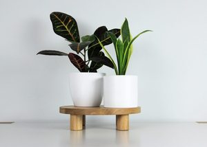 Plateau de service rond surélevé en bois de chêne, écologique et biodégradable, avec pieds cylindriques, pour hôtels et restaurants, logo personnalisé OEM, Vietnam - Product Image 6