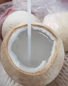 Proveedor de Ingredientes para Bebidas de Agua de Coco Joven Congelada - Product Image 1