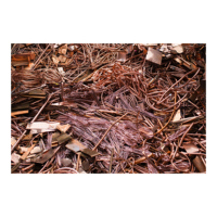 Fil de cuivre Mill Berry en gros, qualité supérieure, emballage personnalisé, origine CA, pour acheteurs en gros