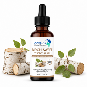 Huile Essentielle de Bouleau Doux 100% Pure Distillée à la Vapeur Naturelle Betula Lenta Aromathérapie Parfum Boisé Tous Types de Peau Vrac - Product Image 2